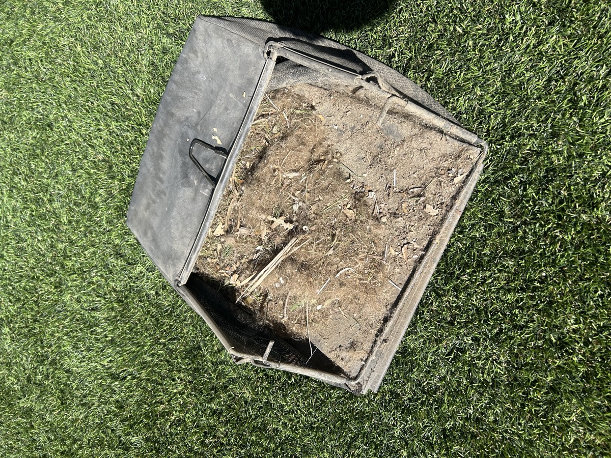 Professional pet turf cleaning on a residential yard in San Diego County showing steam treatment in progress