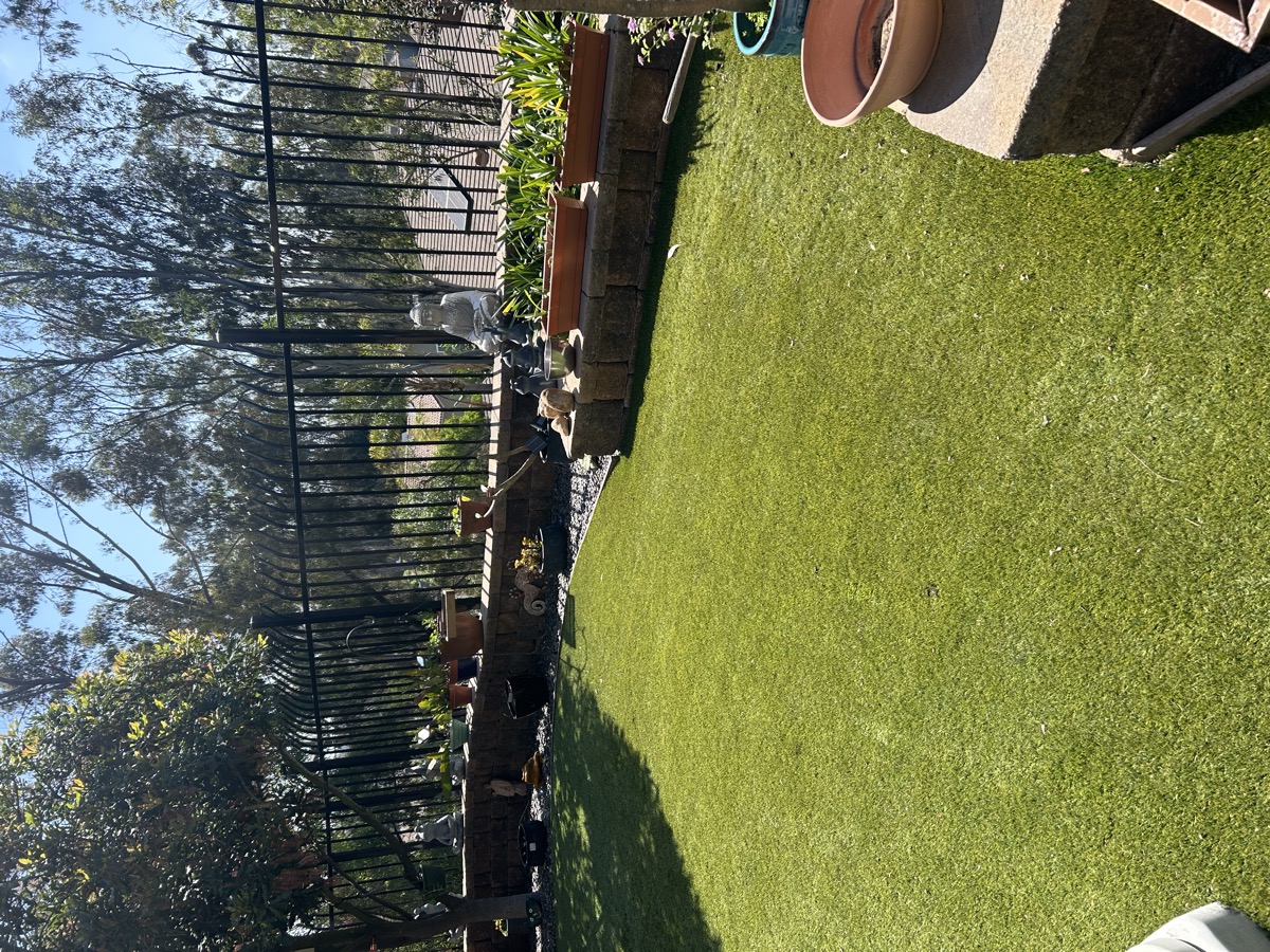 synthetic turf cleaning in Rancho Bernardo by Mr Green Turf Clean
