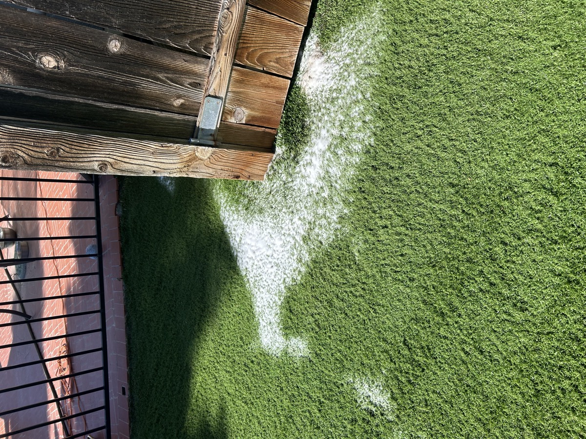 professional artificial turf cleaning in la jolla coastal yard