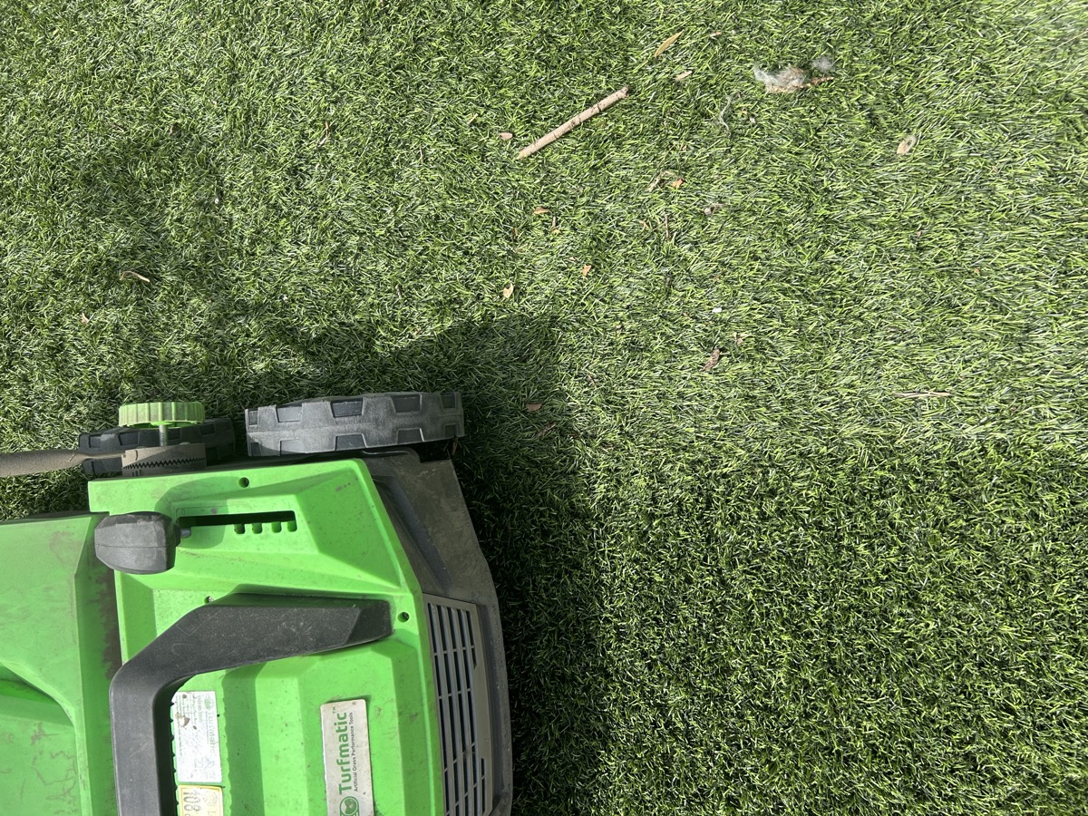 how often to clean artificial turf in poway