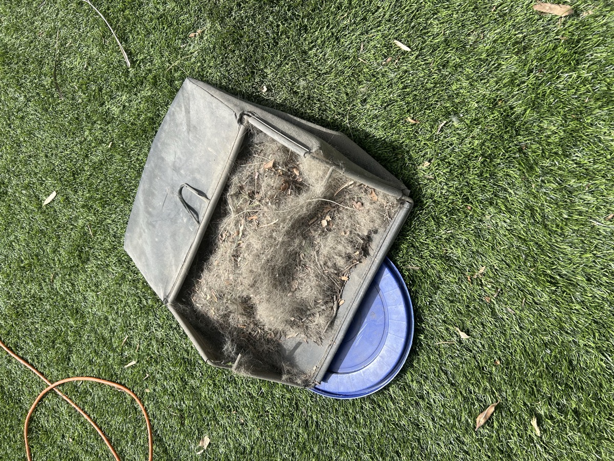 Before and after professional turf sanitizing on a pet turf yard in San Diego County